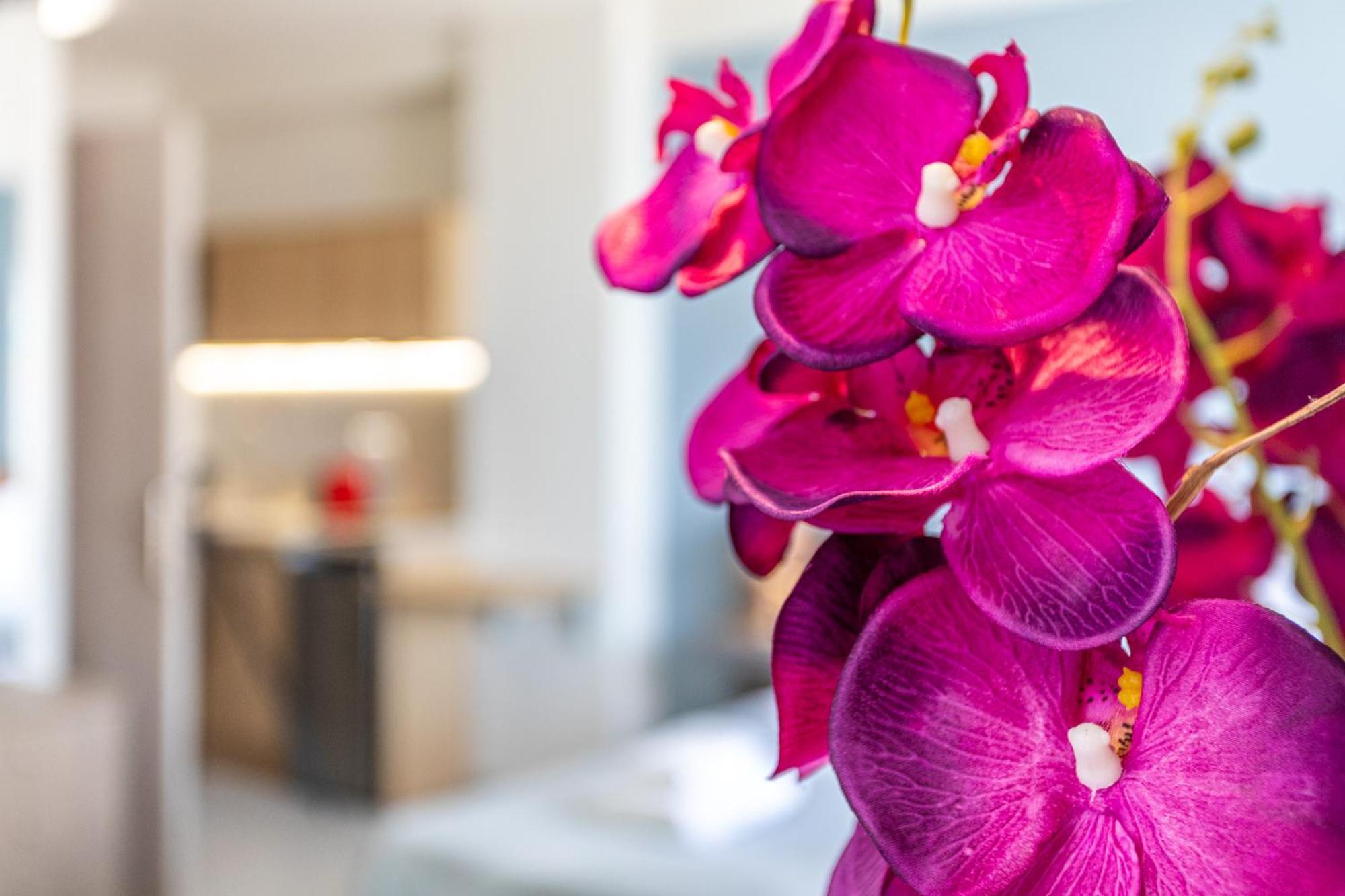 Marina Aparthotel Kardhamili Exteriör bild